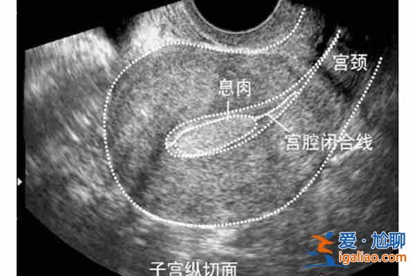 郑州正规助孕机构_「建造新生命」？