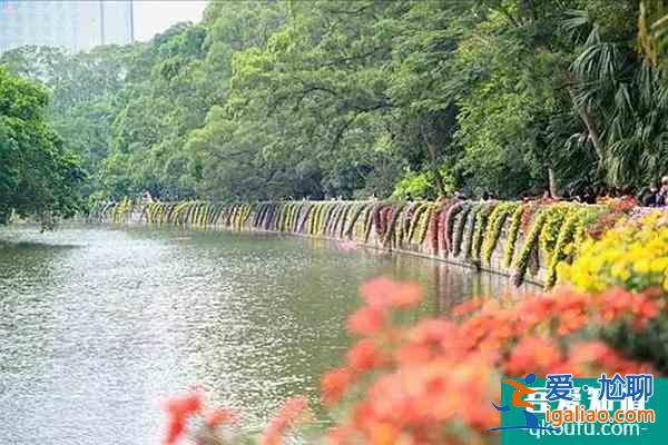 12月14日西安照金国际滑雪场受疫情影响暂不接待部分地区游客？