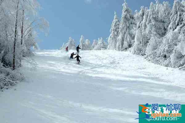 湖北滑雪场哪个最好玩 湖北滑雪场开放时间？