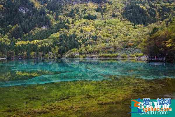 为迎节东奥四川三州一市4A级以上景区门票半价？