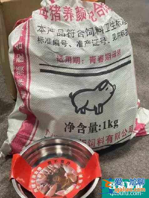 宁静送猪饲料大礼包 网友笑侃：重出江湖真有宁的？