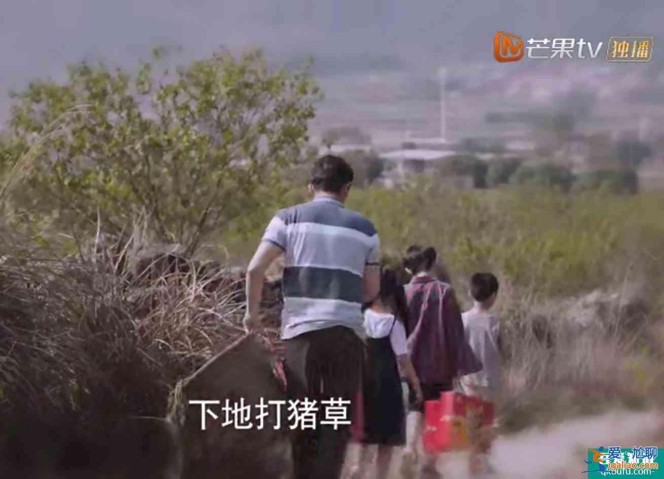 《以家人之名》子秋外婆说嫁得不好认命，怪不得贺梅抛弃子秋？