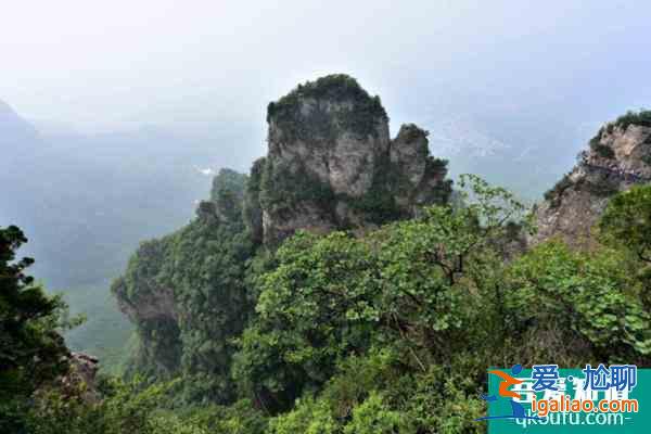 河南云台山景区12月起门票半价优惠？