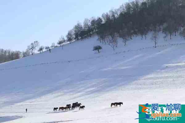 2021秦岭四季滑雪场门票多少钱？