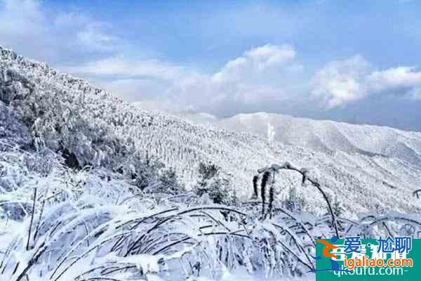 2021秦岭四季滑雪场门票多少钱？