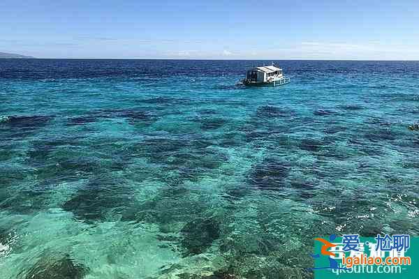 11月20日起菲律宾放宽低中风险国家和地区完全接种疫苗入境旅客检测隔离要求？