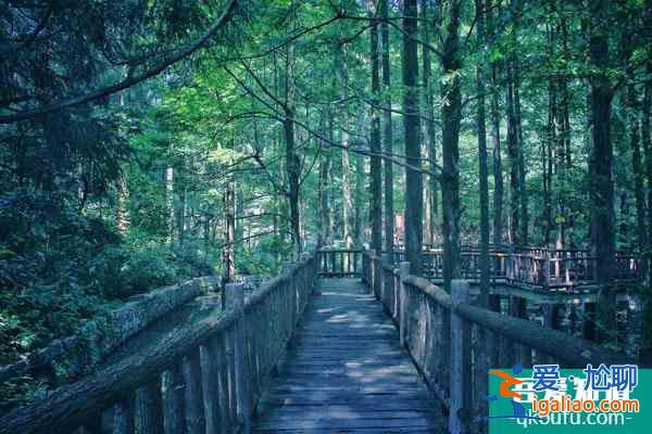 2022天台山华顶景区因受天气影响暂停对外开放通知？