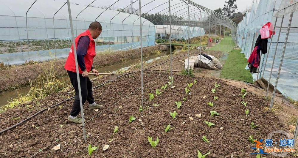 “春忙好时节”——六城联动推出全国两会直播报道？