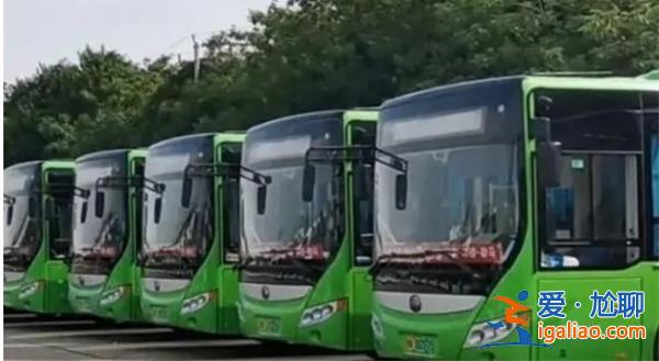 河南商丘市民差点失去了公交车，如今确保公交车不停运[失去公交车]？