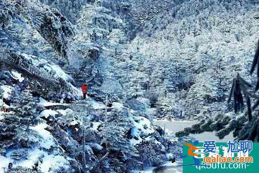 2022螺髻山景区恢复开园时间及最新防疫措施介绍？