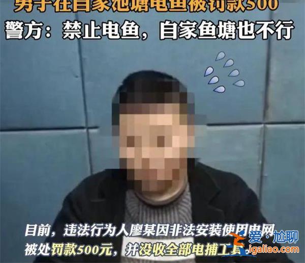 男子在自家池塘电鱼被罚500元，，警方道歉并撤销处罚[罚500元]？