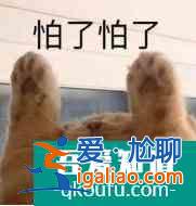 贡米米热主演，炸毛医女遇上腹黑帝王，反套路的古言剧居然这么甜？