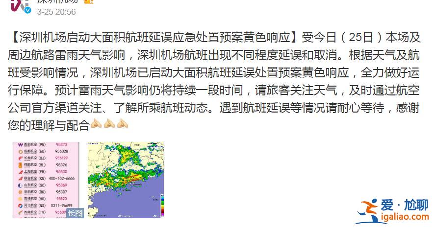 深圳暴雨致航班取消 旅客情绪崩溃跪地求航班起飞 东航回应？