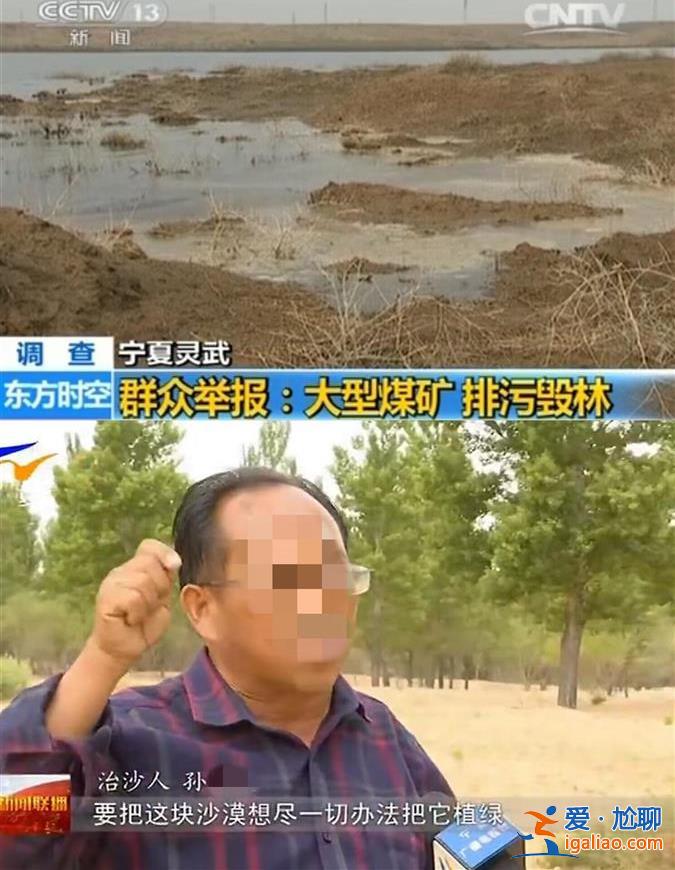 宁夏万亩树木被煤矿“断水”面临枯死 六旬林场主崩溃跪地 镇政府回应？