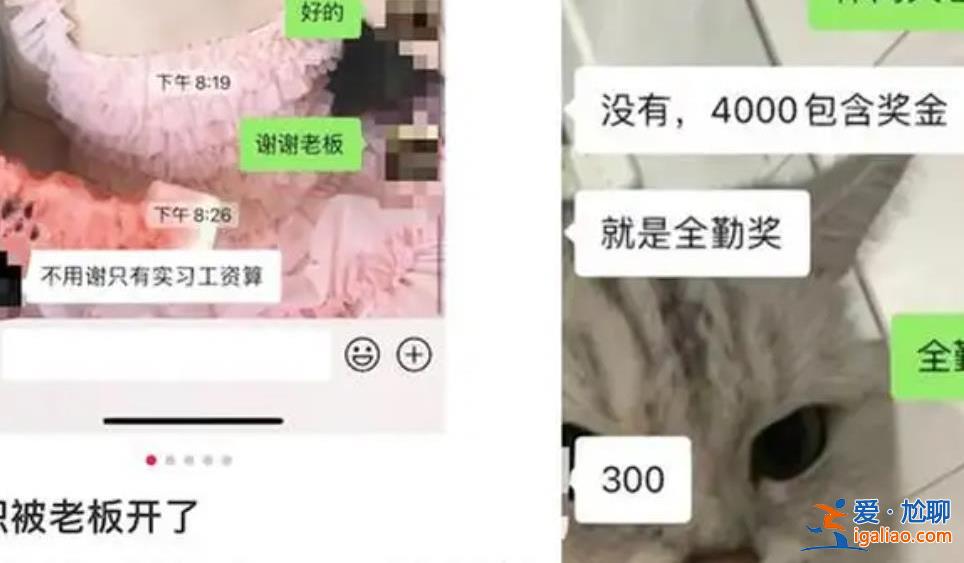 女子提离职其男友被一并开除 并未签订劳动合同？