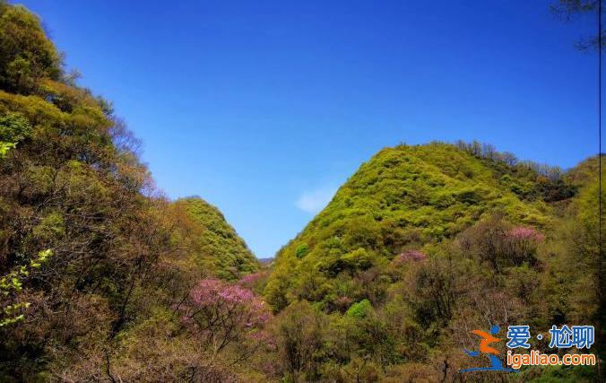 沙尘侵袭多省市 重庆、四川等地幸免 网友感谢秦岭阻挡南下风沙？