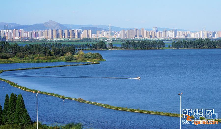 中老铁路首趟国际旅客列车发车 购买跨境列车车票时要注意这些细节？