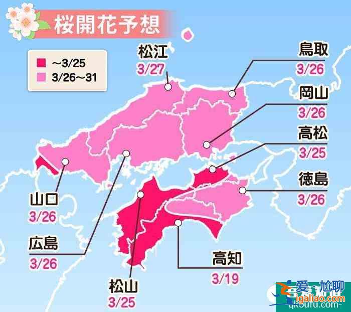 日本看樱花最好的时间 2022日本樱花预测开放时间+最佳观赏地点？