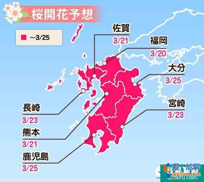 日本看樱花最好的时间 2022日本樱花预测开放时间+最佳观赏地点？