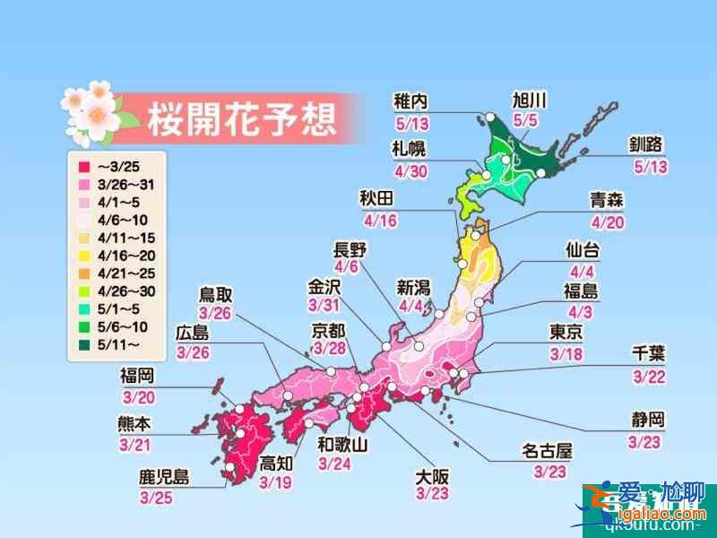 日本看樱花最好的时间 2022日本樱花预测开放时间+最佳观赏地点？