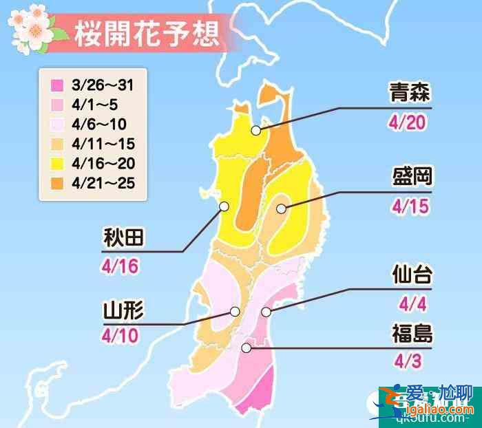 日本看樱花最好的时间 2022日本樱花预测开放时间+最佳观赏地点？