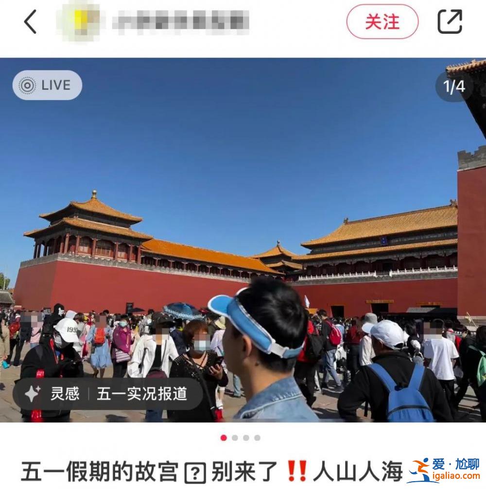 约满！寸步难行！第一波景区实况来了？