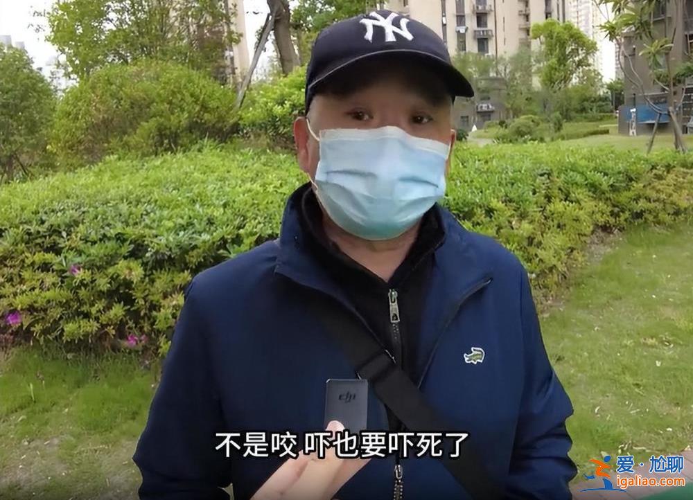 上海一儿童被打成脑震荡！只因对遛狗人说了这句话……？