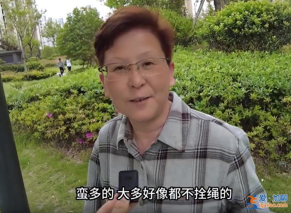 上海一儿童被打成脑震荡！只因对遛狗人说了这句话……？