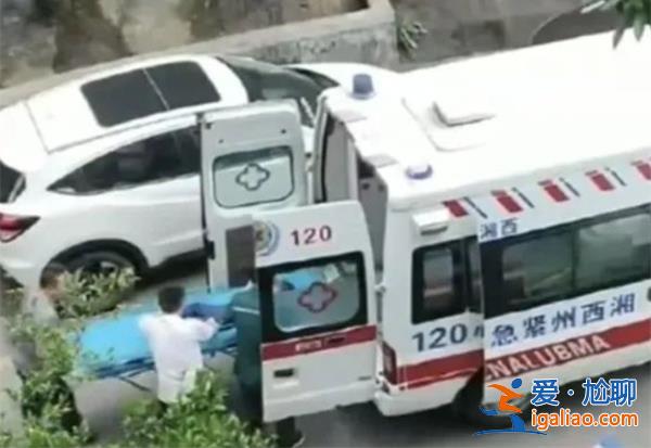 从26楼撑伞跳下男童目前生命体征比较平稳[跳下]？