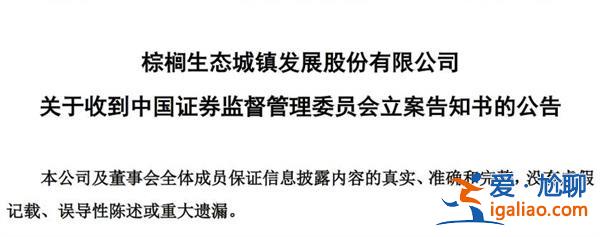 棕榈股份遭立案 未及时披露重大事项 股民可索赔 股票跳水？