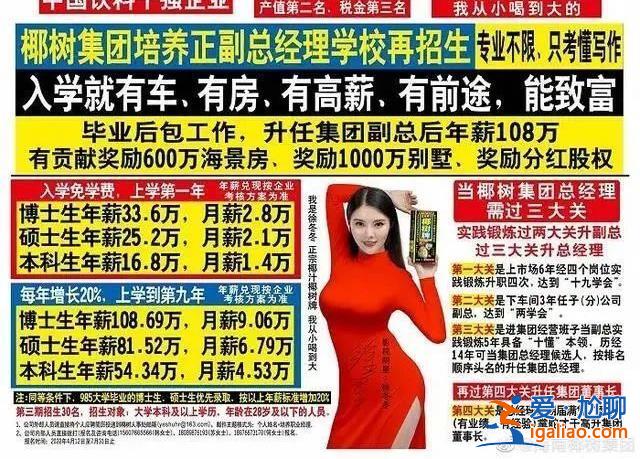 “我们有自己的审美标准” 椰树直播算擦边吗？官方回应态度有点“刚”？