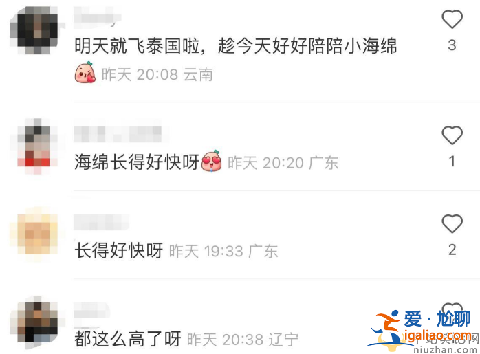 Baby近况曝光!独自带娃逛街，黄晓明忙和女友约会