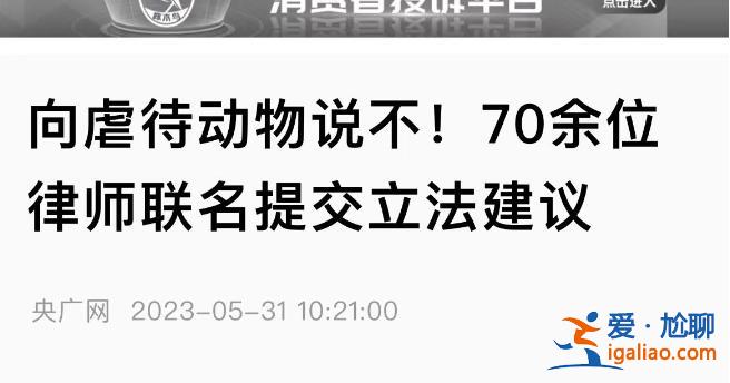 深圳地铁反虐动物广告遭投诉 “阴暗角落”再引争议？