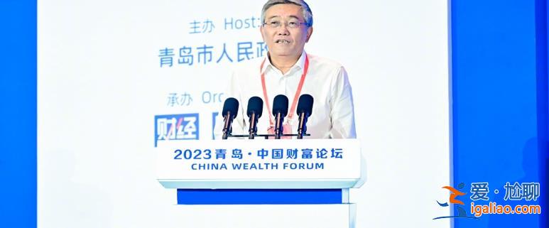 杨伟民：逐步改变对住房 汽车和部分高端消费的抑制政策？