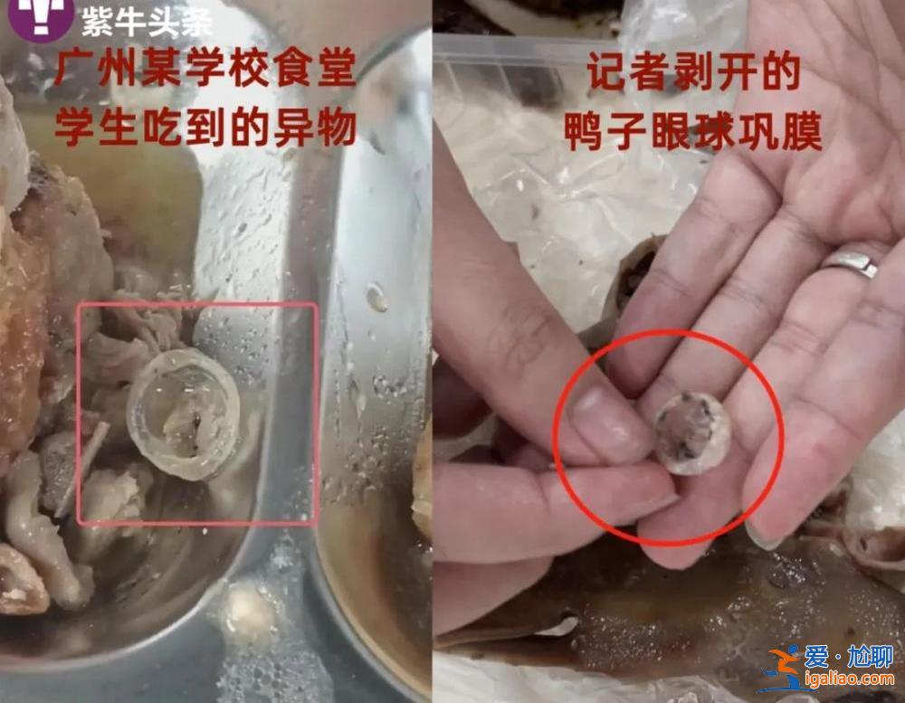 食堂饭菜异物是鸭子眼球巩膜？现场实测鸭眼球巩膜比鸭眼外表大数倍？