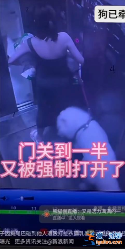 牵狗进电梯与邻居发生纠纷 女子发多条视频称遭殴打羞辱？