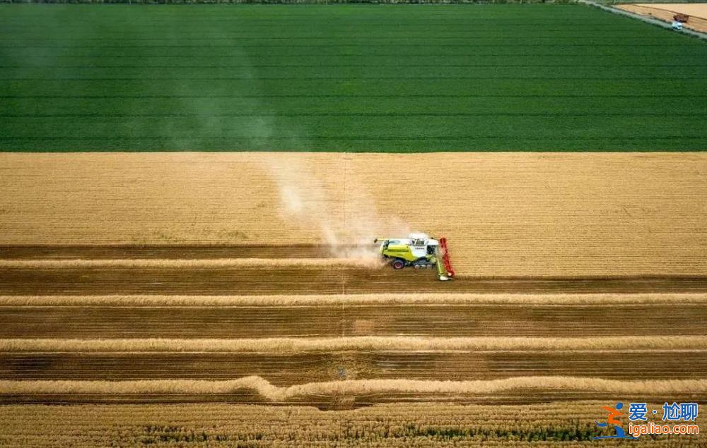 自然灾害多发、耕地面积减少 为何还能实现粮食丰收？农民日报回应？