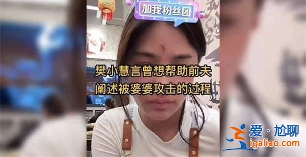 网红樊小慧称被前婆婆上门殴打 樊小慧被打事件有后续吗？