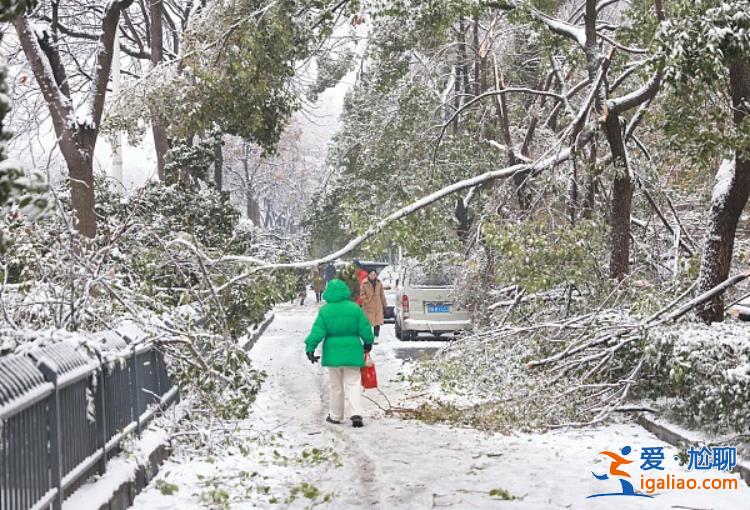 为何导致交通陷入瘫痪？除冰难度有多大？解读湖北暴雪冻雨的几大疑问？