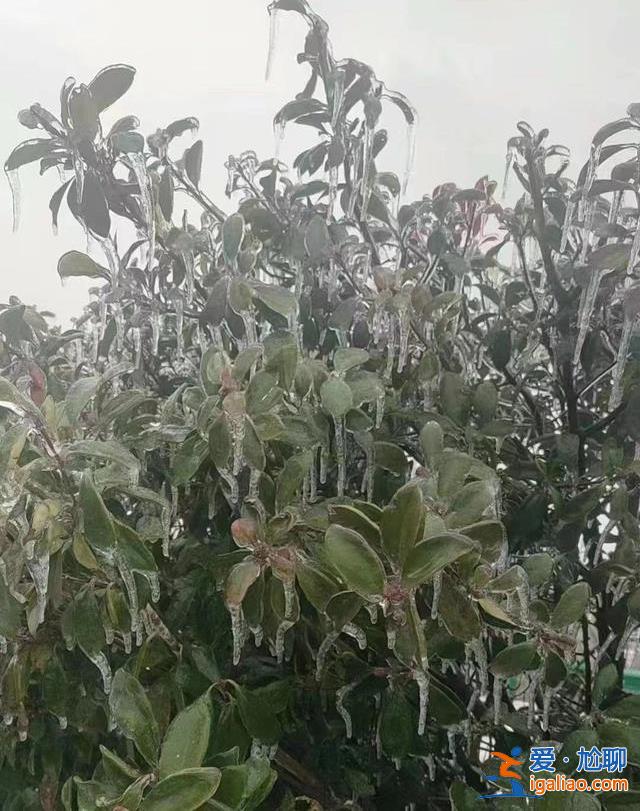 为何导致交通陷入瘫痪？除冰难度有多大？解读湖北暴雪冻雨的几大疑问？