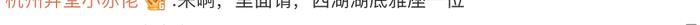 春节游客量上涨！杭州西湖2天捞起17部手机 1副眼镜和1张身份证？