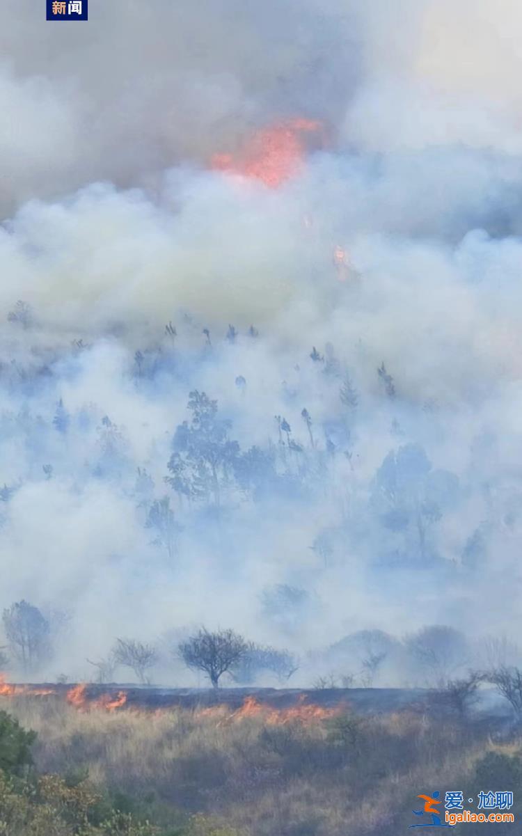 云南洱源突发山火 当地正全力扑救？