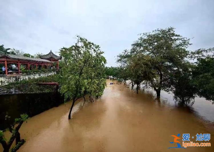 广东北江发生今年第1号洪水 多个水文站超警戒水位？