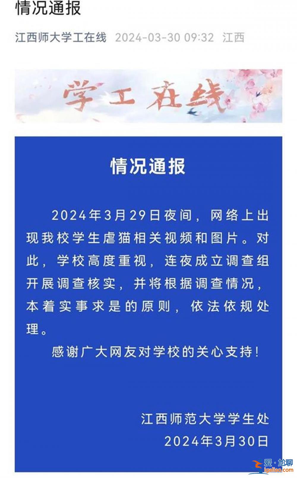 江西师大回应还在处理“学生虐猫” 多起事件背后虐猫产业链需铲除？