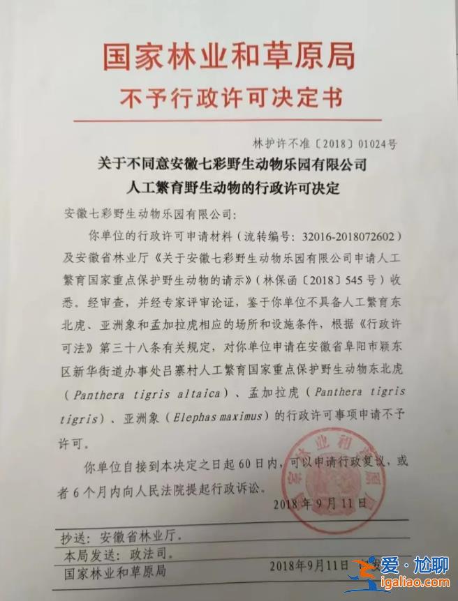 野生动物园20只东北虎死亡！细节披露？