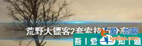 荒野大镖客2怎么使用套索 野大镖客2套索技巧？