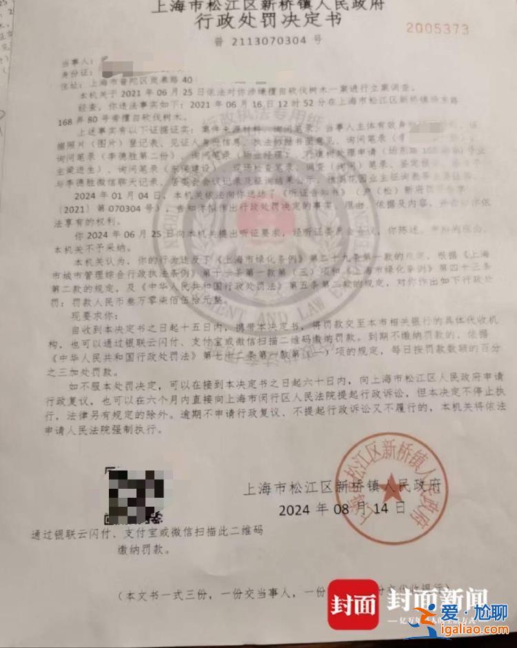 上海一业主砍伐院外树木被罚3万元 曾称香樟树影响生活已向多方反映？