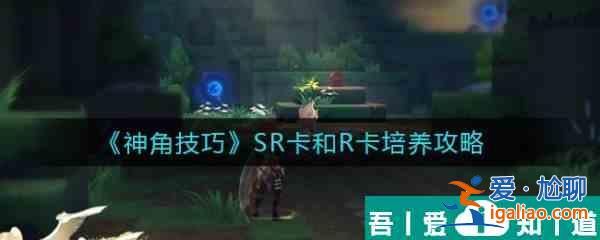 神角技巧SR卡和R卡培养攻略 具体介绍？