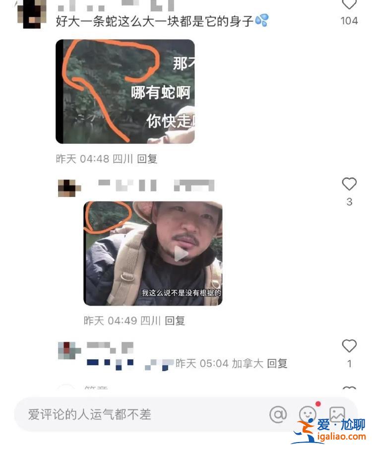 是树根？