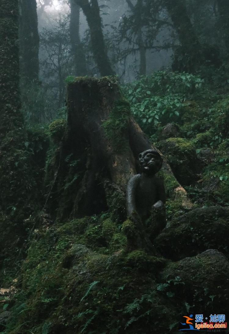 部分区域已被开发成景区 当地人不敢贸然进入深山？